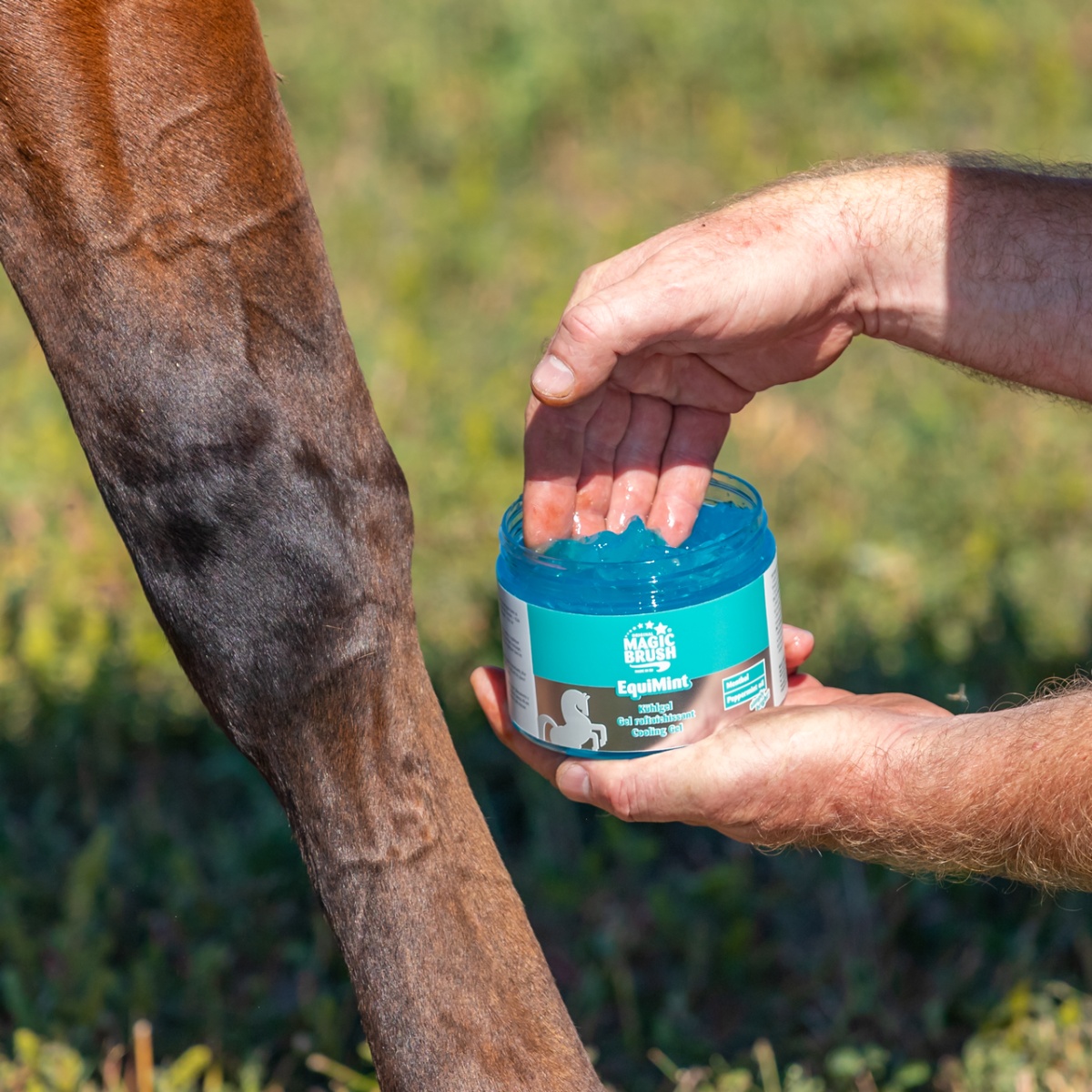Hűsítő gél lovaknak, MagicBrush EquiMint, 500 ml