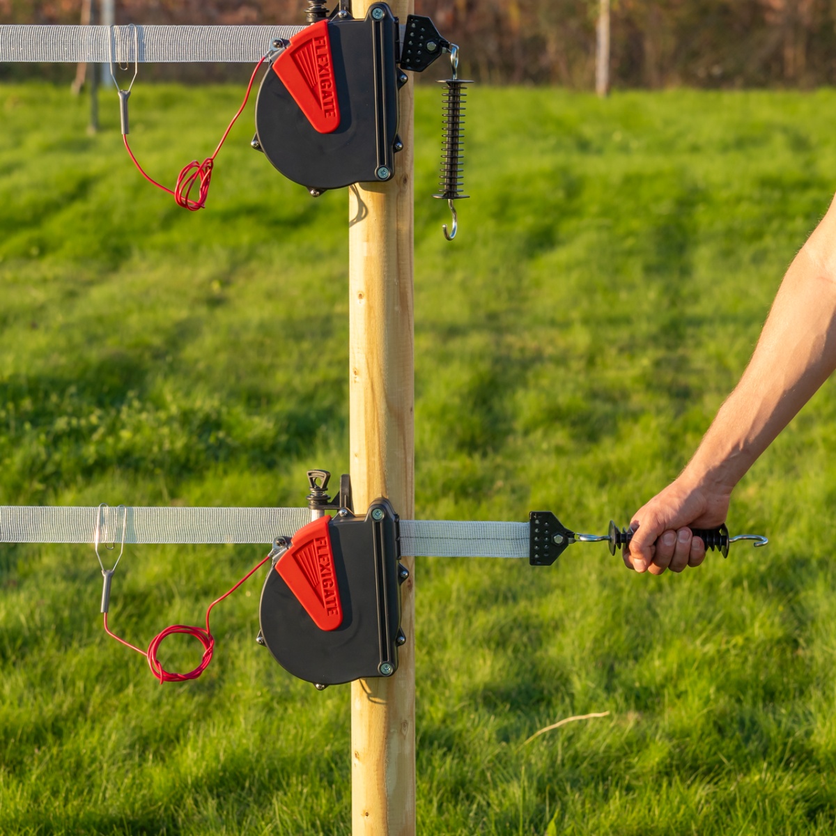 Kapuszett 40 mm-es villanypásztor szalaggal, Ako Flexigate, 7,5 m